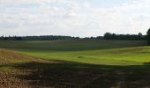 Tour Zu Fuß Gerswalde - Stiernseerundweg - Photo 1