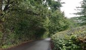 Trail Walking Verviers - petit tour dans la campagne d´Heusy - Photo 11