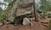 Tocht Stappen Fontainebleau - Fontainebleau Sentier Denecourt 17 - Photo 14