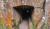 Tour Wandern Ronchamp - Ronchamp - Chapelle ND du Haut - sentier de l'Etançon (puits de mines) - Photo 20