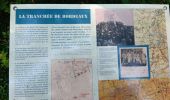 Excursión Senderismo Bouconville-Vauclair - émouvant Chemin des Dames - Photo 18