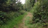 Tocht Stappen Gouvy - la ferme de la Hé Cierreux - Photo 3