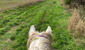 Trail Horseback riding Saint-Martin - Petit tour autour de la maison Vispa  - Photo 2