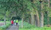 Trail Walking O Pino - Compostela - Photo 10