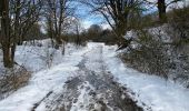 Trail Walking Simmerath - Einrhur 23 km - Photo 12