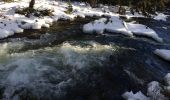 Randonnée Raquettes à neige La Llagonne - Le long du têt  - Photo 3