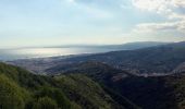 Trail On foot Genoa - Sant'Eusebio - Forte Ratti - Photo 4