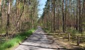 Percorso A piedi Zossen - Rundwanderweg um den Großen und kleinen Zeschsee - Photo 4