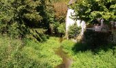 Trail Walking Tauxigny-Saint-Bauld - Malabry - Tauxigny chemin des Moulins - 12.4km 160m 3h00 - 2020 09 07 - Photo 3