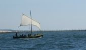 Randonnée Bateau à moteur Arcachon - Tour de l'île aux Oiseaux - Photo 17