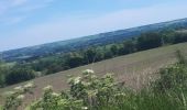 Trail Nordic walking Herve - Battice_Fort - Photo 6