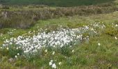 Tour Wandern Prades - Comus Refuge de La Chioula GR 107 chemin des Bonshommes - Photo 5