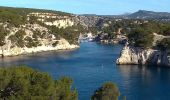 Tocht Stappen Cassis - Cassis, les trois calanques, la pomme de pin (cacau), le trou du souffleur... - Photo 13