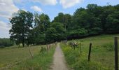 Trail Walking Neupré - A la découverte de la Roche aux Faucons 🥾 - Photo 6