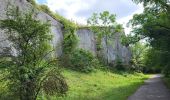 Tocht Elektrische fiets Essert - VTT - Essert - Salbert - Vétrigne - Miotte - Citadelle Belfort - Essert - Photo 13