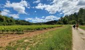 Excursión Senderismo Bras - A la rencontre du Cauron et de l'Argens - Photo 10