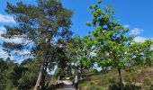 Tocht Stappen Heerlen - Brunssummerheide  - Photo 15