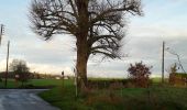 Randonnée Marche Bosroumois - Bosc-Roger en Roumois - Photo 5