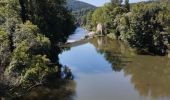 Trail Mountain bike Saint-Antonin-Noble-Val - st Antonin Noble Val à Penne forteresse  - Photo 2