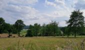Trail Walking Cerfontaine - boucle au nord de Soumoy - Photo 1