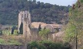 Tour Wandern Lagrasse - Lagrasse - Photo 3