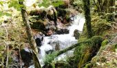 Excursión Senderismo Donamaria - SityTrail - Cascades du Txaruta depuis Donamaría (Navarre ) M Wikiloc. - Photo 7