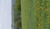 Randonnée Marche Sains-du-Nord - Sains du Nord le bocage le vert buisson et Brode - Photo 2