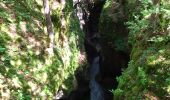 Excursión Senderismo Bohinj - Gorges - Photo 8