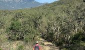 Excursión Senderismo Rabós - Rabos effacer surplus…. - Photo 11