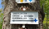 Excursión Senderismo Guebwiller - Croix de mission Guewiller (04/05/2023) - Photo 1