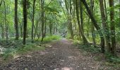 Trail Walking Herne - Herfelingen 16 km - Photo 12