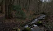 Tocht Stappen Limburg - GG-Lg-11_Dolhain - Pepinster - Photo 4