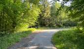 Randonnée Marche Rethondes - en Forêt de Laigue, 04_07_2025_sur les Routes du Grand Octogone, du Plessis-Brion, de Sainte-Croix, du Petit Octogone et de la Belle Assise - Photo 20