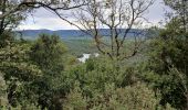 Excursión Senderismo Bagnols-en-Forêt - Forêt Royale Bagnols en Forêt  - Photo 1