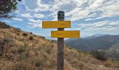 Excursión Senderismo Cerbère - Cerbère Pyrénées Orientales - Photo 10