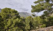 Trail Walking Toulon - reco faron 2 - Photo 16