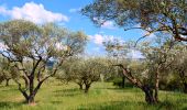 Randonnée Marche Seillons-Source-d'Argens - La Lombarde -Vallon du Puit Dagnié - Source de l'Argens - Le Village - Photo 2