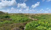 Randonnée Marche Bergen (NH) - Schoorl - Duinen - Photo 3