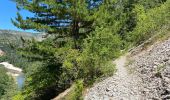 Trail Walking Gorges du Tarn Causses - Saint Chely 17 km - Photo 12