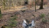 Trail Horseback riding Habay - Marbehan côté Thibessart - Photo 1