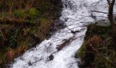 Tour Wandern Le Val-d'Ajol - cascade faymont  - Photo 1