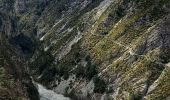 Randonnée Marche Braux - Chabrieres,Pelloussis,Argenton, Aurent, Col du Fa,Le Coulomp - Photo 1