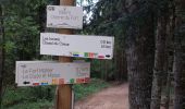 Trail Walking Pontarlier - FORT MALHER DEPUIS LE CAMPING DU LARMONT - Photo 19