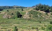 Randonnée V.T.T. Zicavo - Balade sur le plateau du Coscione - VTT - Photo 15