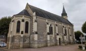 Randonnée Marche Coteaux-sur-Loire - Saint-Patrice les Prés Bédoué - GRP Étang Chêne Meunier Ingrandes-de-Touraine - 20.4km 315m 4h35 (1h10) - 2024 10 03 - Photo 9