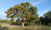 Tour Wandern Pont-de-l'Arche - 20231017-Pont de l'arche cool - Photo 11