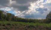 Tocht Stappen Esneux - entre Mery et bois Manant - Photo 16