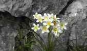 Trail On foot Glarus - Äugsten - Passhöhe - Photo 6