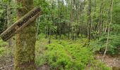 Tour Wandern Ernolsheim - 2019-05-30 Marche Mt St Michel Ernolsheim les Saverne Reel - Photo 16