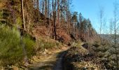Trail Horseback riding Bouillon - rando équestre 9 partie 2 - Photo 2